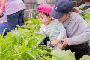 京都市保育園 右京区保育園 収穫祭 食育 活動の様子 小規模保育園