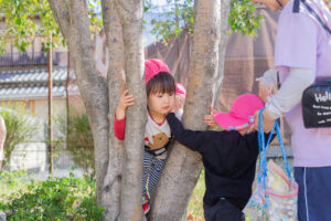 京都市 右京区 保育園 活動の様子 公園