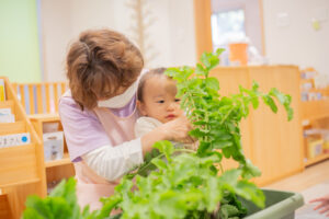 京都市保育園 右京区保育園 小規模保育園 活動の様子 大根収穫 ０歳児