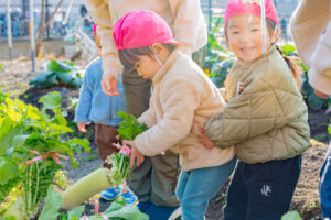 右京区保育園
京都市保育園
小規模保育園
活動の様子
畑
大根収穫
子ども