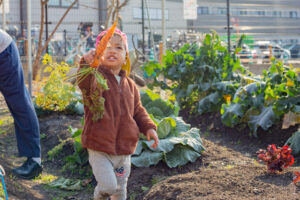 右京区保育園
京都市保育園
小規模保育園
活動の様子
畑
大根収穫
子ども