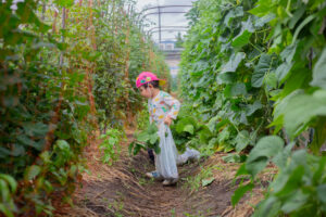 京都市保育園 右京区保育園 小規模保育園 活動の様子 食育 野菜