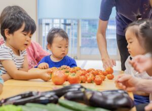 京都市保育園 右京区保育園 小規模保育園 活動の様子 食育
