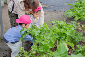 京都市保育園 右京区保育園 小規模保育園 活動の様子