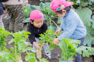 京都市保育園 右京区保育園 小規模保育園 活動の様子