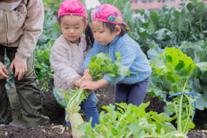 京都市保育園 右京区保育園 小規模保育園 活動の様子