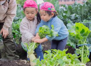 京都市保育園 右京区保育園 小規模保育園 活動の様子
