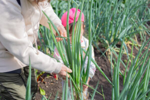 京都市保育園 右京区保育園 小規模保育園 活動の様子