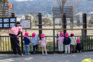 京都市　保育園 右京区　保育園 小規模保育園 活動の様子 遠足 お別れ遠足 動物園