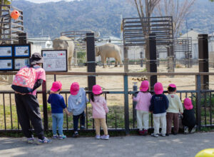 京都市　保育園 右京区　保育園 小規模保育園 活動の様子 遠足 お別れ遠足 動物園