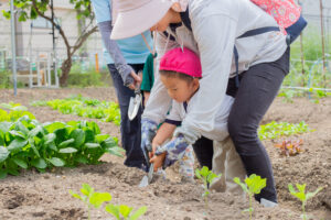 京都市　保育園 右京区　保育園 小規模保育園 畑 食育