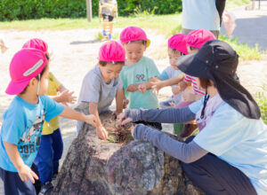 京都市保育園 右京区保育園 小規模保育園 活動の様子